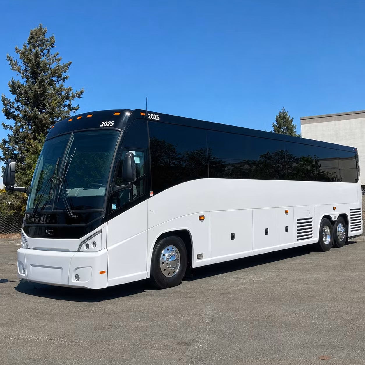 school groups sports teams and corporate teams love redding long distance bus rentals
